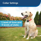 PetSafe In-Ground Fence Deluxe UltraLight Dog Collar PUL 275 Receiver One RFA-67