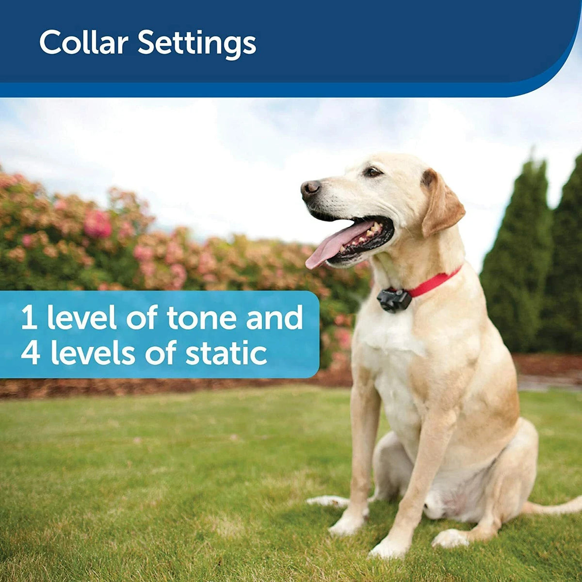 PetSafe In-Ground Fence Deluxe UltraLight Dog Collar PUL 275 Receiver One RFA-67