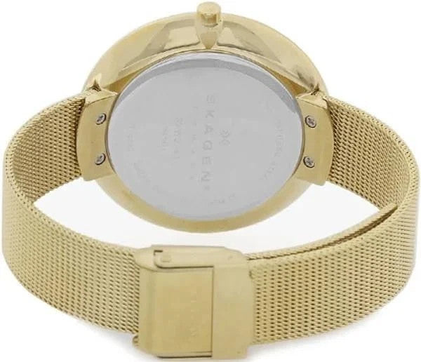 SKAGEN Gitte Silver Dial Gold-tone Mesh Ladies Watch SKW2141 Brand New In Box
